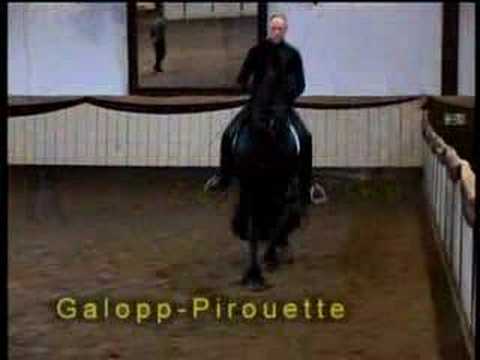 Trailer Horst Becker horse training (Deutsch)