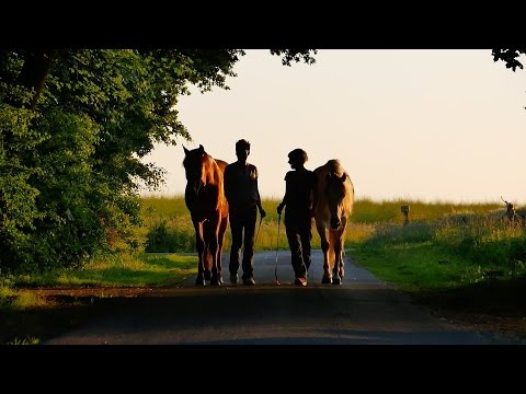 Liberty - Trailer - Natural Horsemanship